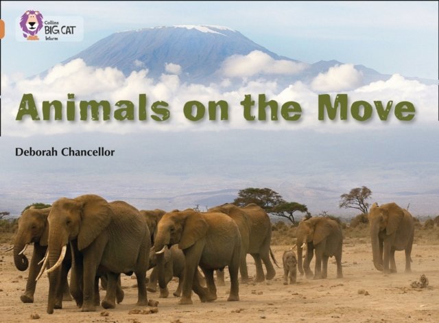 BIG CAT - ANIMALS ON MOVE