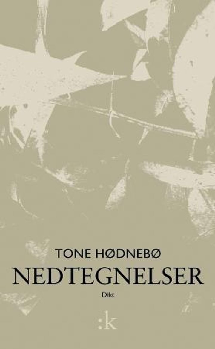 Nedtegnelser - dikt