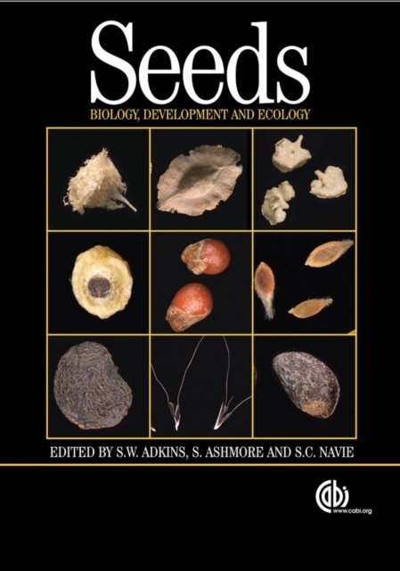 Seeds