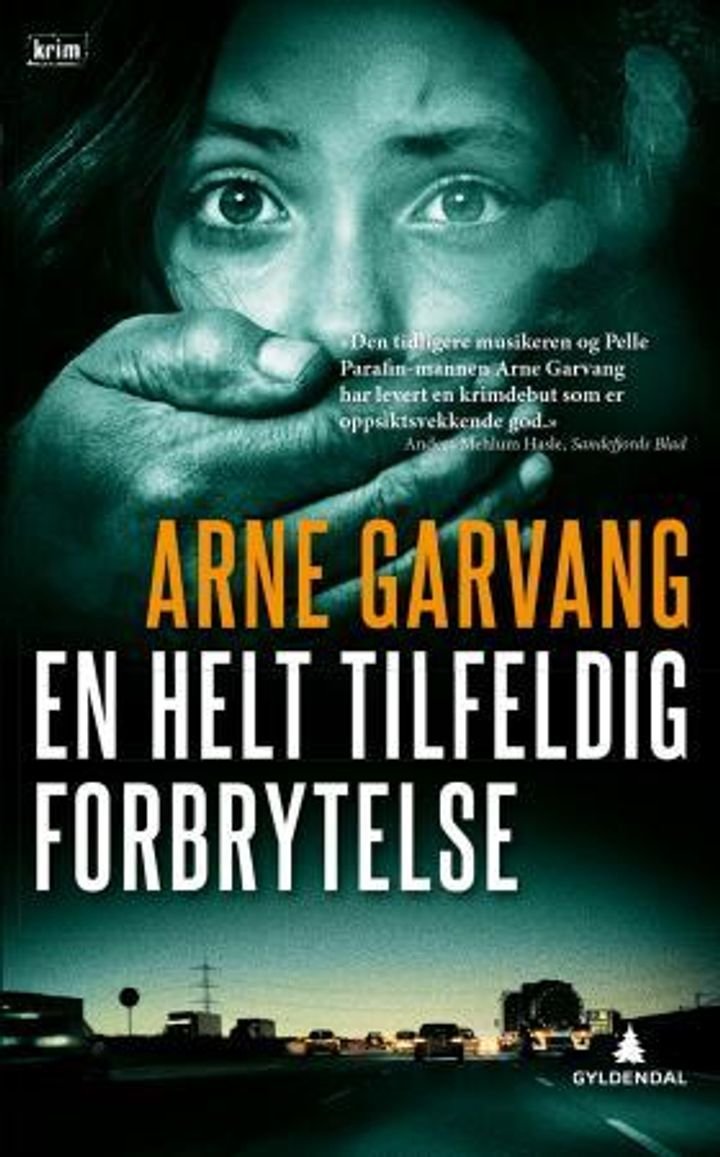 En helt tilfeldig forbrytelse - kriminalroman