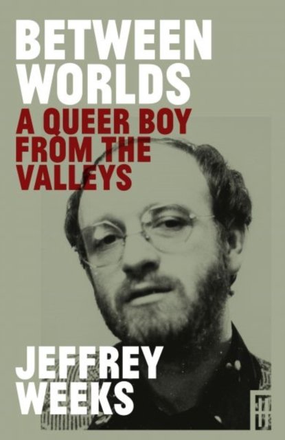 Between Worlds - A Queer Boy from the Valleys
