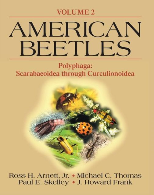 American Beetles, Volume II