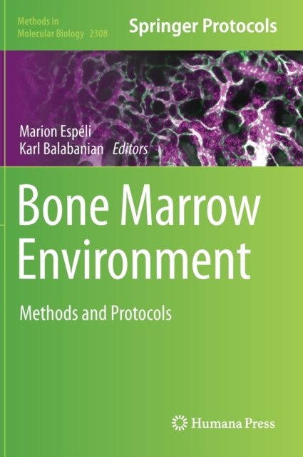 Bone Marrow Environment