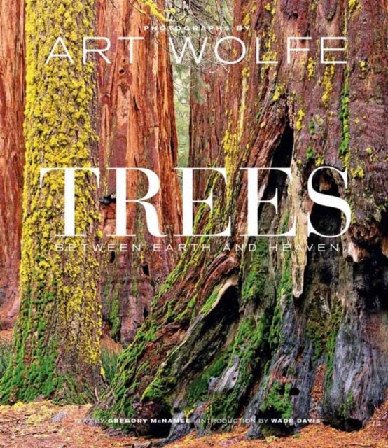 Trees