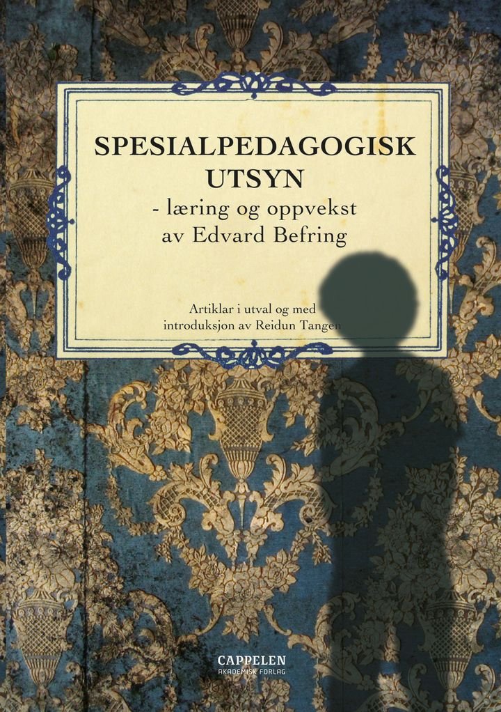 Spesialpedagogisk utsyn