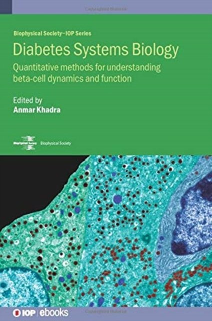 Diabetes Systems Biology
