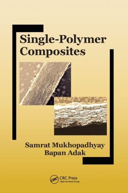 Single-polymer Composites