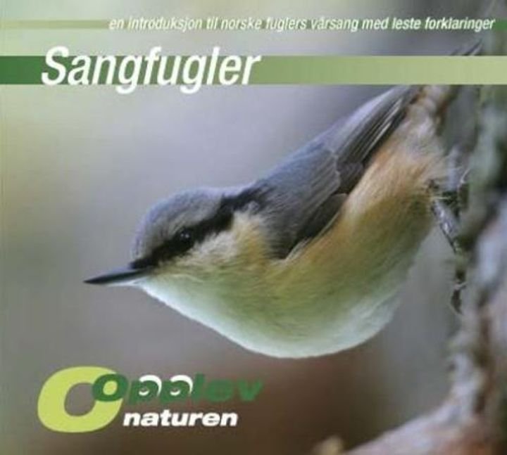 Sangfugler - en introduksjon til norske fuglers vårsang med leste forklaringer