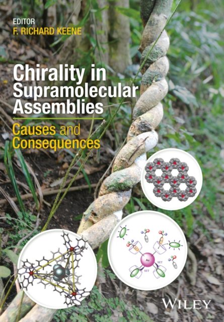 Chirality in Supramolecular Assemblies – Causes and Consequences