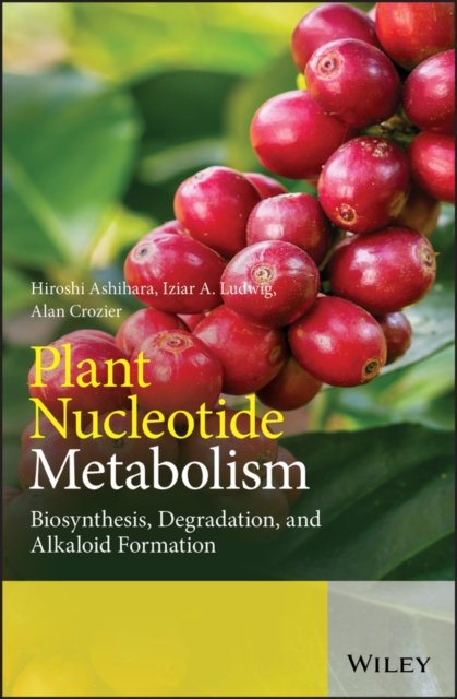Plant Nucleotide Metabolism – Biosynthesis, Degradation and Alkaloid Formation