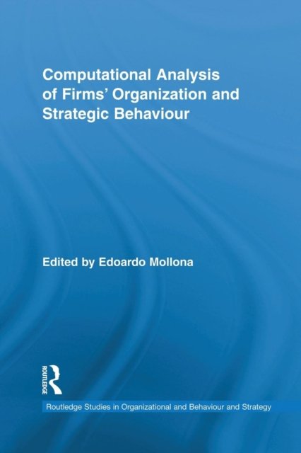 Computational Analysis of Firms’ Organization and Strategic Behaviour