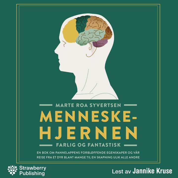 Menneskehjernen - farlig og fantastisk
