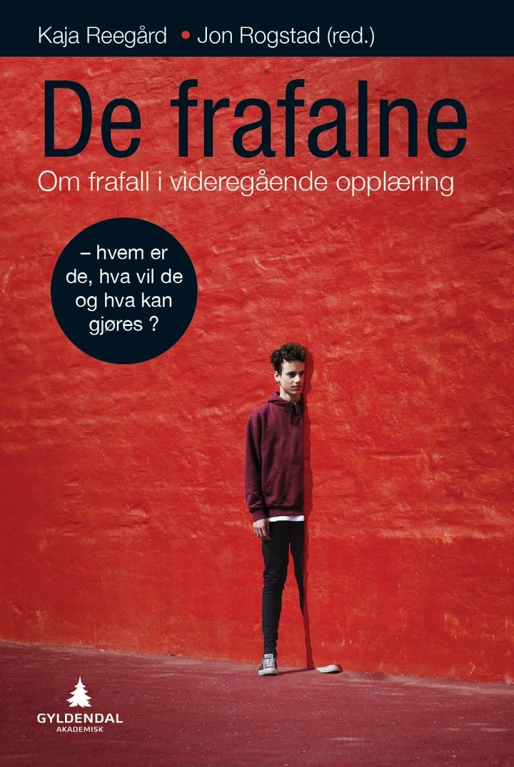 De frafalne - om frafall i videregående opplæring - hvem er de, hva vil de og hva kan gjøres?
