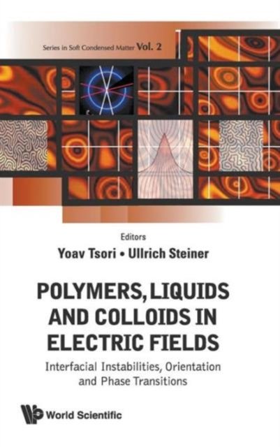 Polymers, Liquids And Colloids In Electric Fields: Interfacial Instabilites, Orientation And Phase Transitions