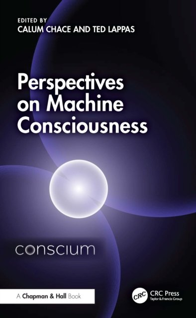 Perspectives on Machine Consciousness