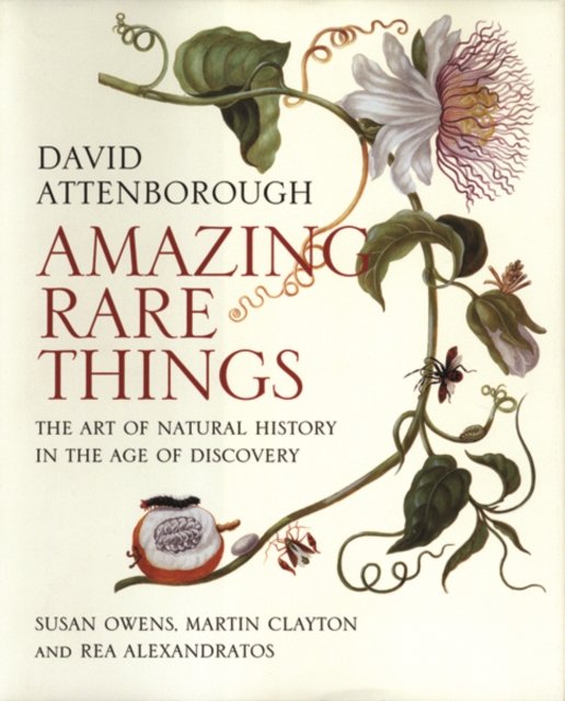 Amazing Rare Things – The Art of Natural History in the Age of Discovery