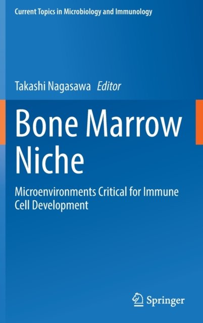Bone Marrow Niche