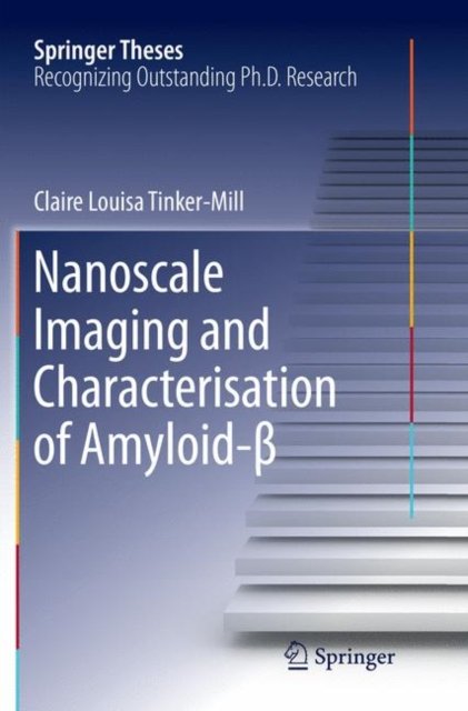 Nanoscale Imaging and Characterisation of Amyloid-ß