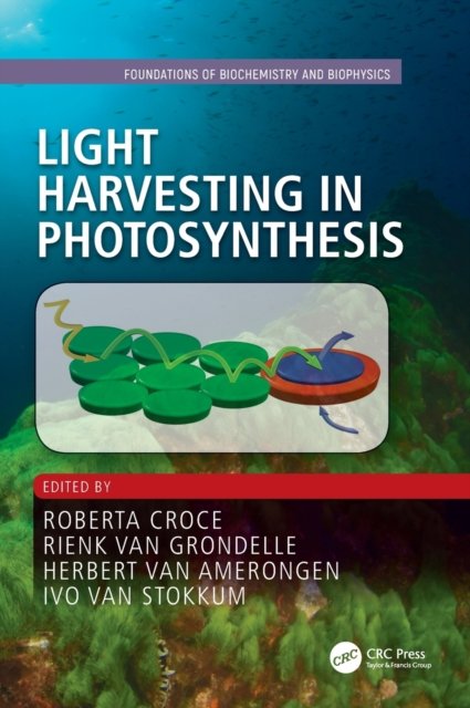 Light Harvesting in Photosynthesis