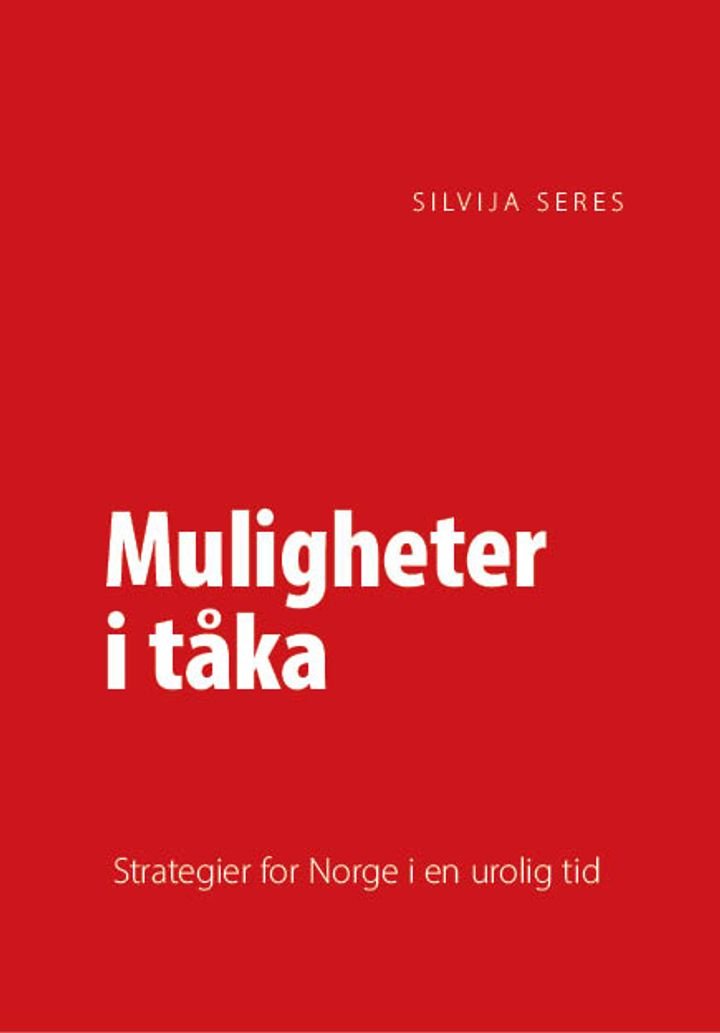 Muligheter i tåka