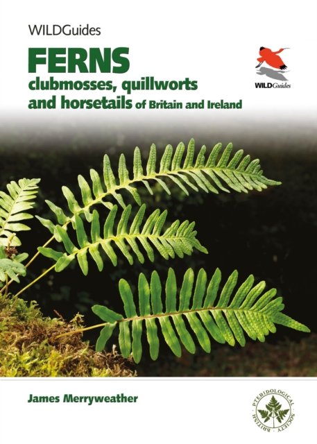 Ferns – Clubmosses, Quillworts and Horsetails of Britain and Ireland