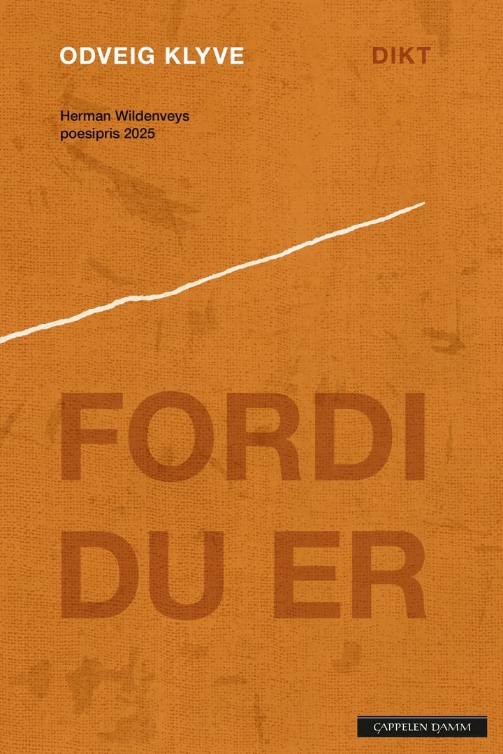 Fordi du er - dikt