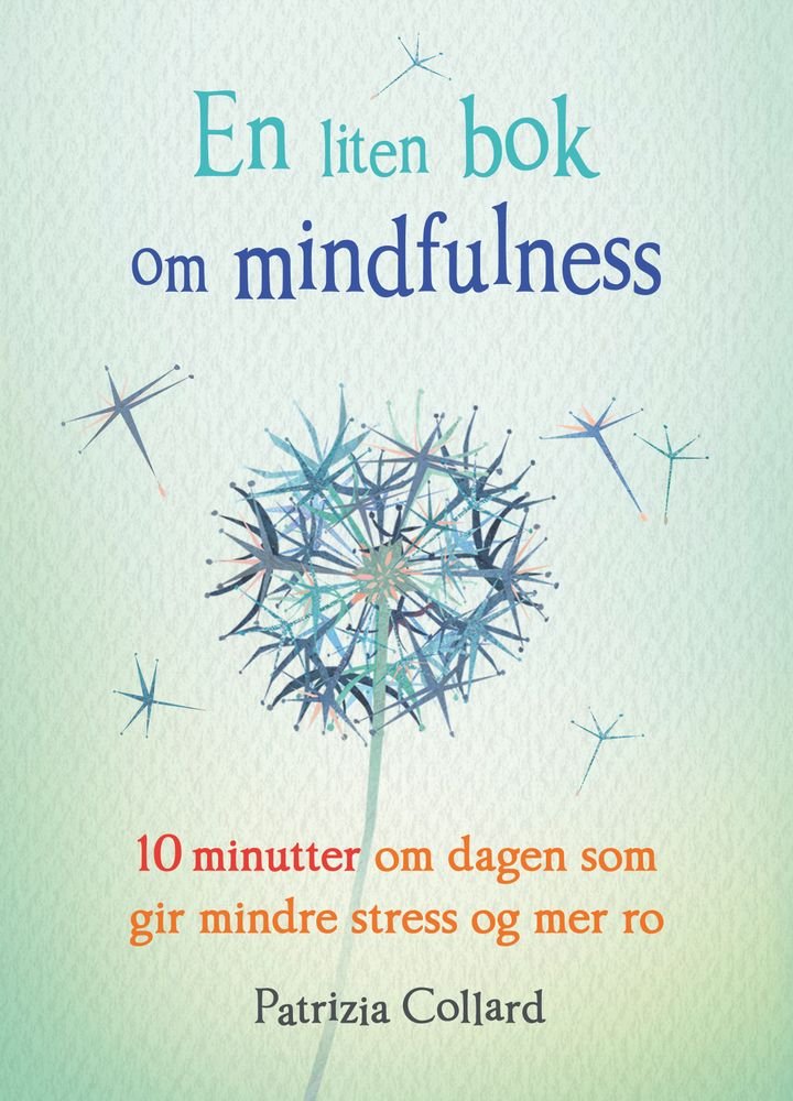 En liten bok om mindfulness - 10 minutter om dagen som gir mindre stress og mer ro