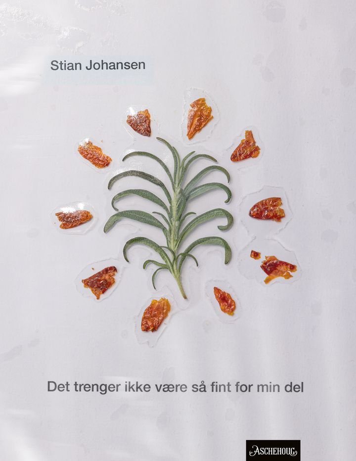 Det trenger ikke være så fint for min del - dikt
