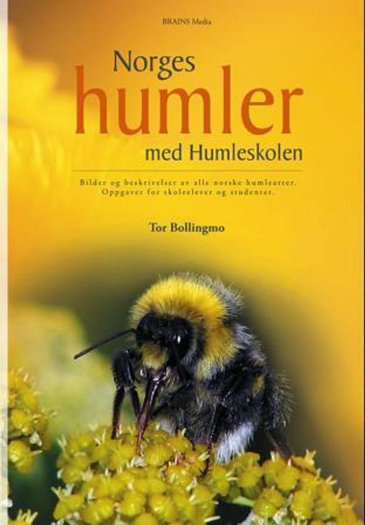 Norges humler med Humleskolen