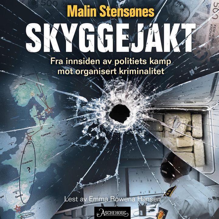 Skyggejakt - fra innsiden av politiets kamp mot organisert kriminalitet