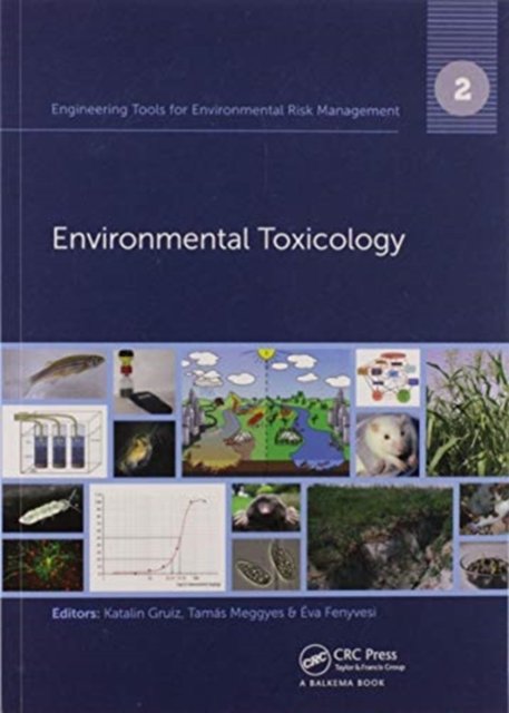 Engineering Tools for Environmental Risk Management