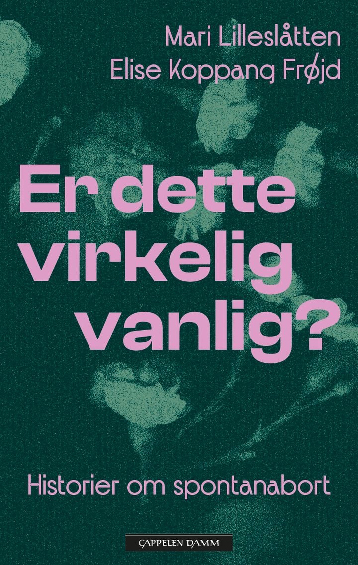 Er dette virkelig vanlig? - historier om spontanabort