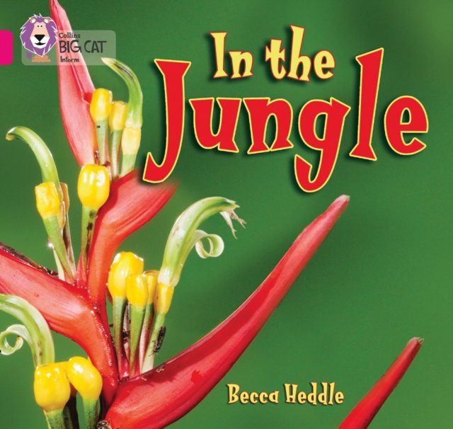 BIG CAT -  IN THE JUNGLE