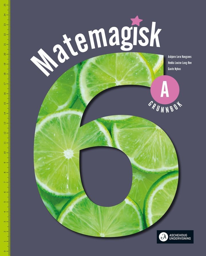 Matemagisk 6A - Grunnbok : matematikk for barnetrinnet