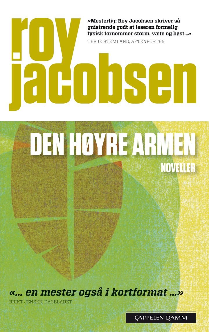 Den høyre armen - noveller