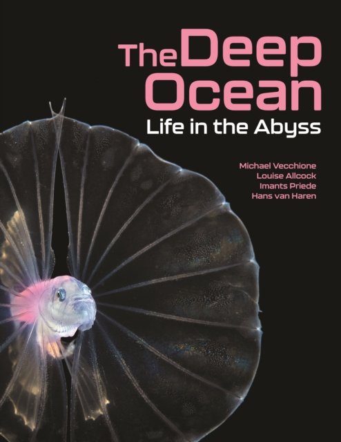 The Deep Ocean – Life in the Abyss