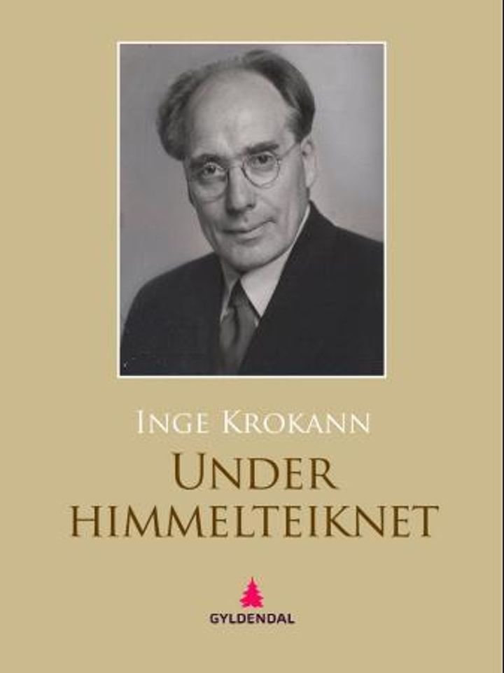Under himmelteiknet - roman
