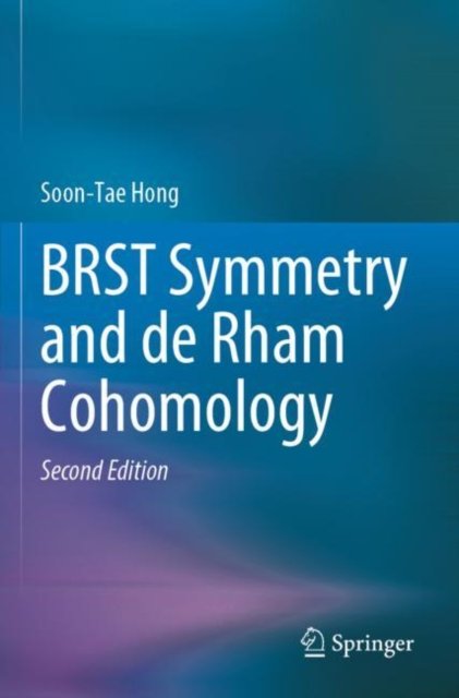 BRST Symmetry and de Rham Cohomology
