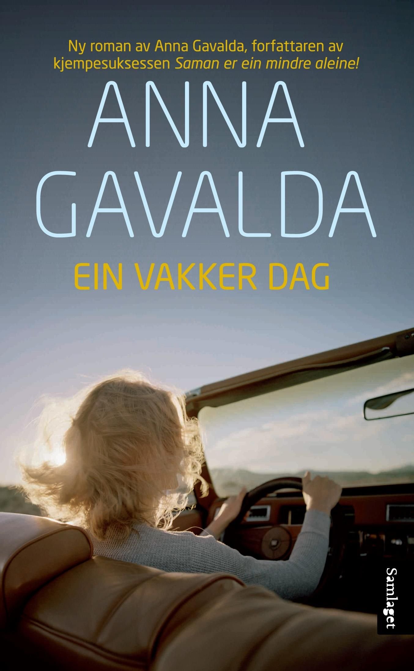 Ein vakker dag - roman
