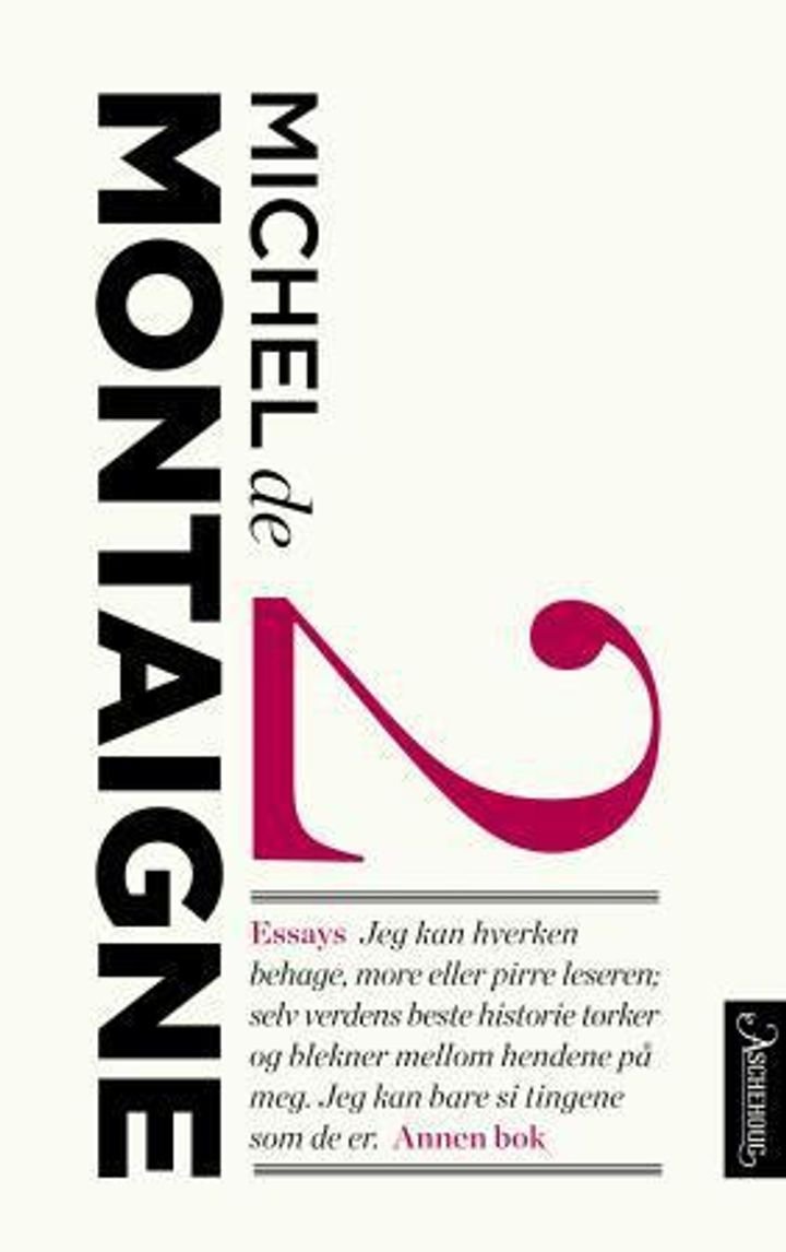 Essays - annen bok