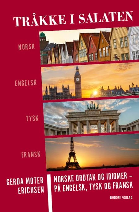 Tråkke i salaten = Put one"'s foot in it = Ins Fettnäpfchen treten = Mettre les pieds dans lep lat