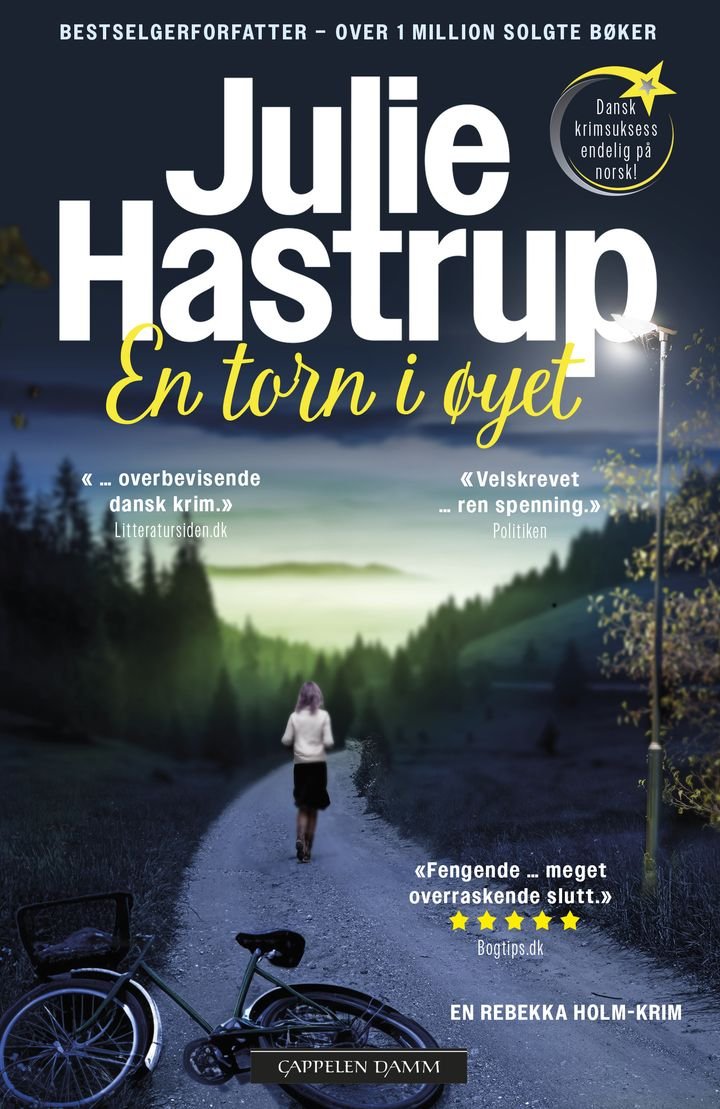 En torn i øyet - en Rebekka Holm-krim