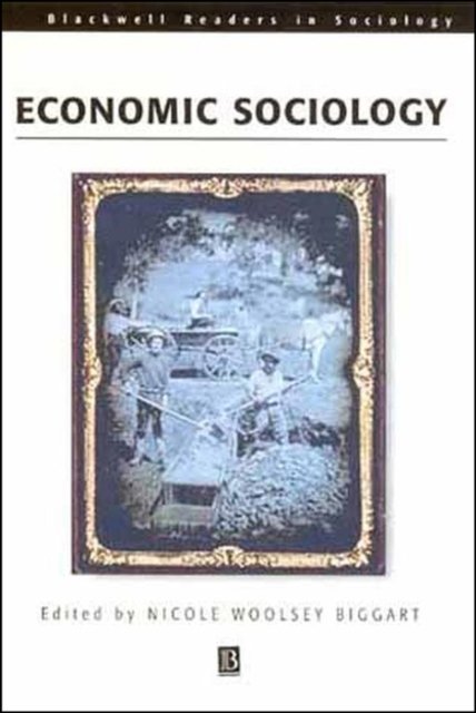 Readings in Economic Sociology