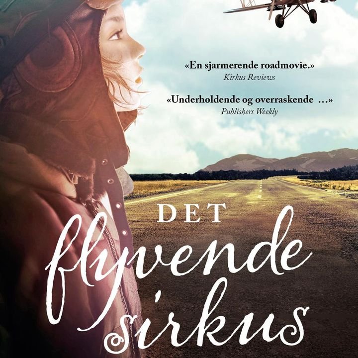 Det flyvende sirkus