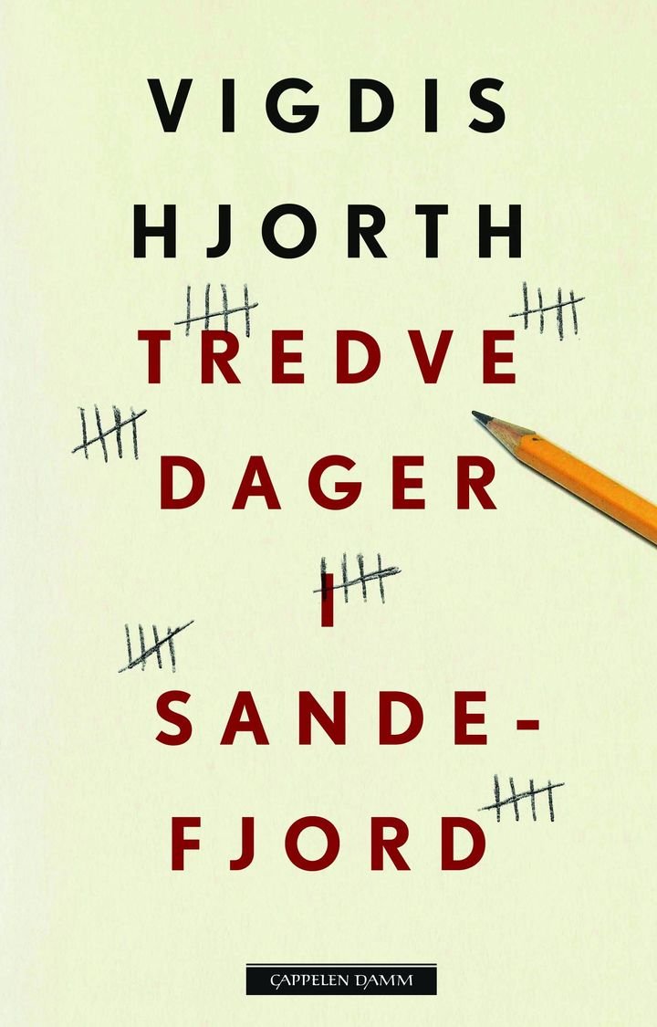 Tredve dager i Sandefjord - roman