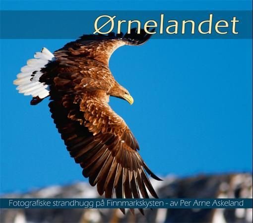 Ørnelandet - fotografiske strandhugg på Finnmarkskysten