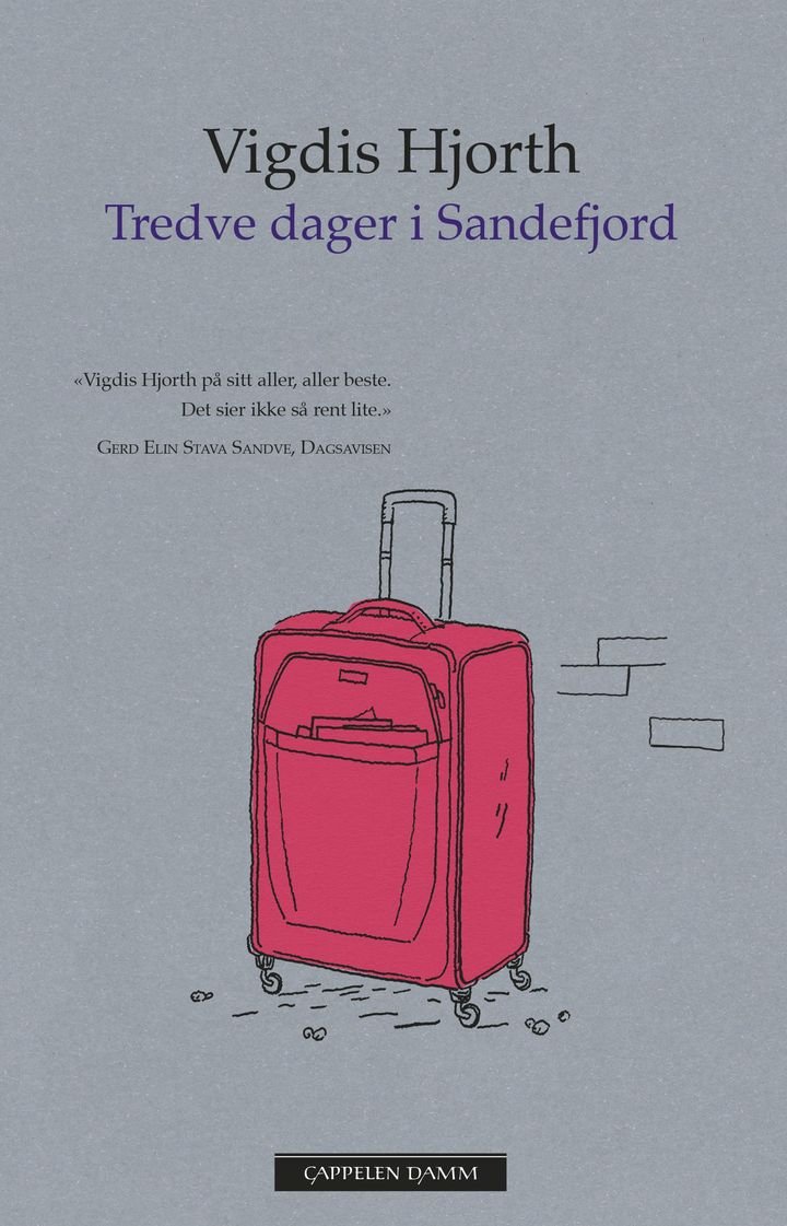 Tredve dager i Sandefjord - roman