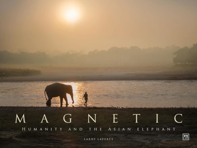 Magnetic