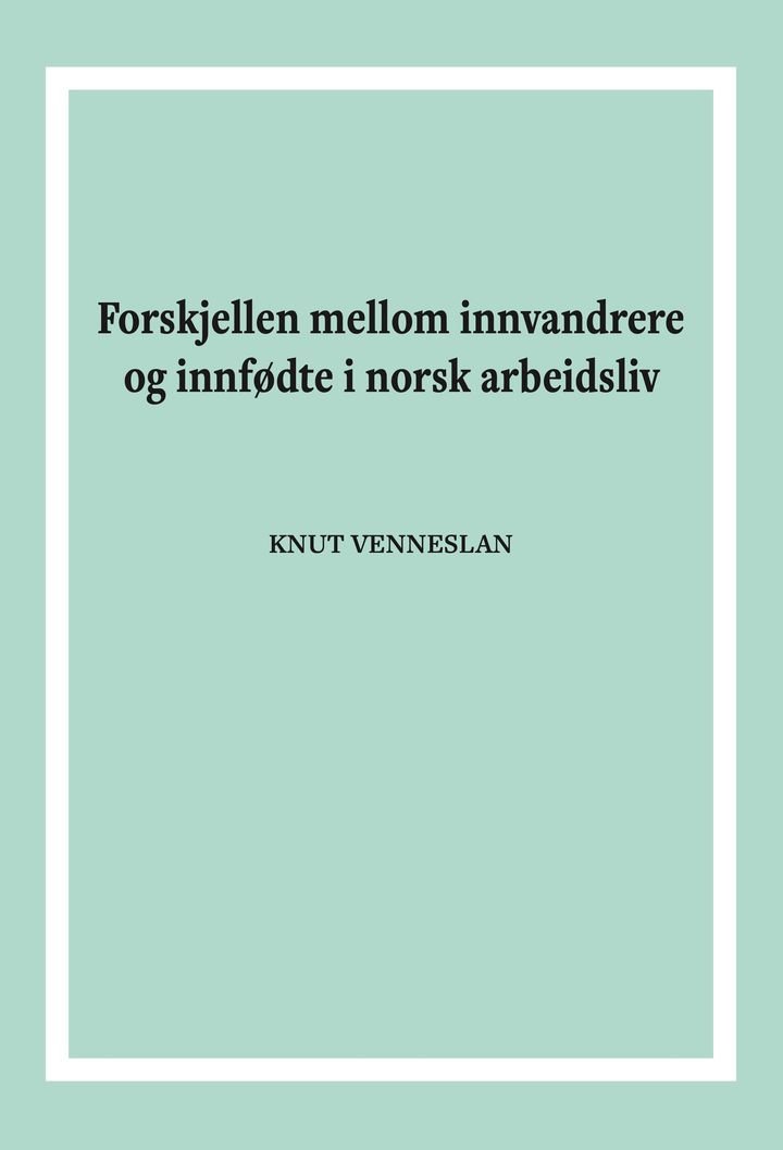 Forskjellen mellom innvandrere og innfødte i norsk arbeidsliv - 2009-2013 : en statistisk basert formanalytisk undersøkelse