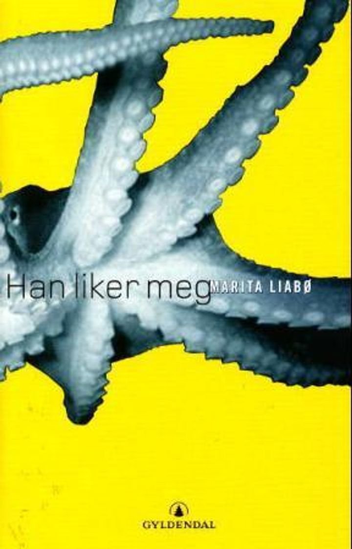 Han liker meg - roman